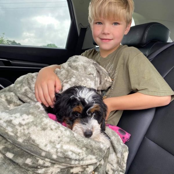 happy client - dog owner (2)